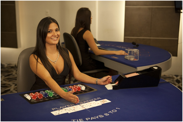 Dealer in Live Casino