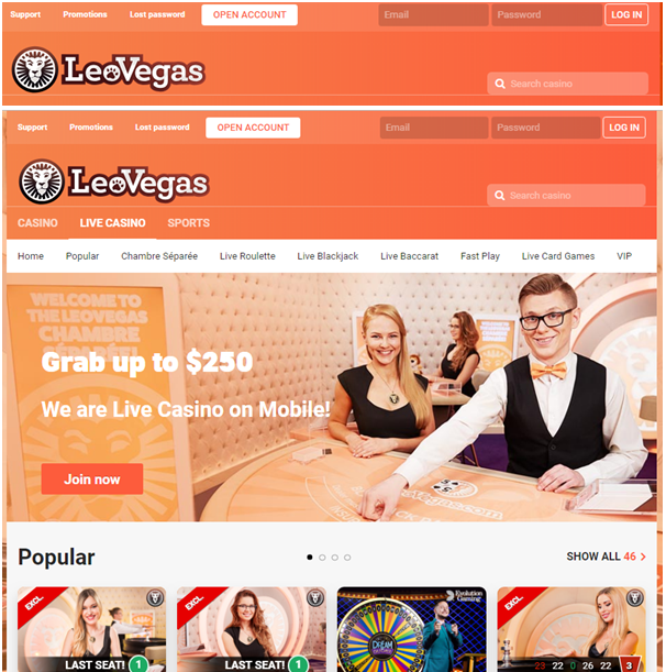 Leo Vegas Live Casino